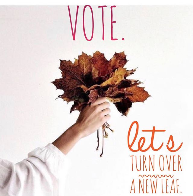 Vote. As if the quality of our lives depend upon it. Because they do. #vote #yoga